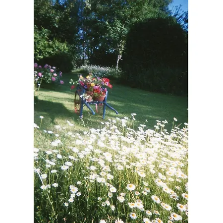 A : 2 Ch, Jardin, Proche Vittel & Contrexeville - Fr-1-589-481 *